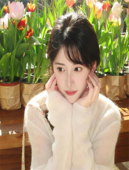 2026春季档《圣诞节前夜》：上映表现与批判评价，提名影片